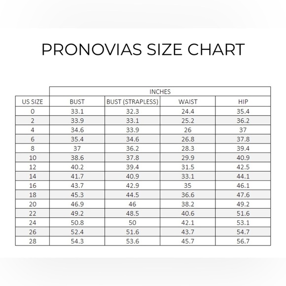 Pronovias Epico Wedding Dress & Veil Sz U. 0. Professionally cleaned & preserved - Picture 15 of 15